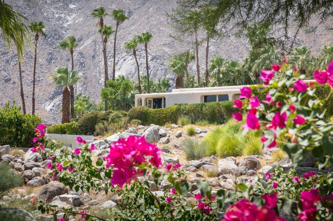 A variety of desert trees and flowers grow in the Vista Las Palmas neighborhood.