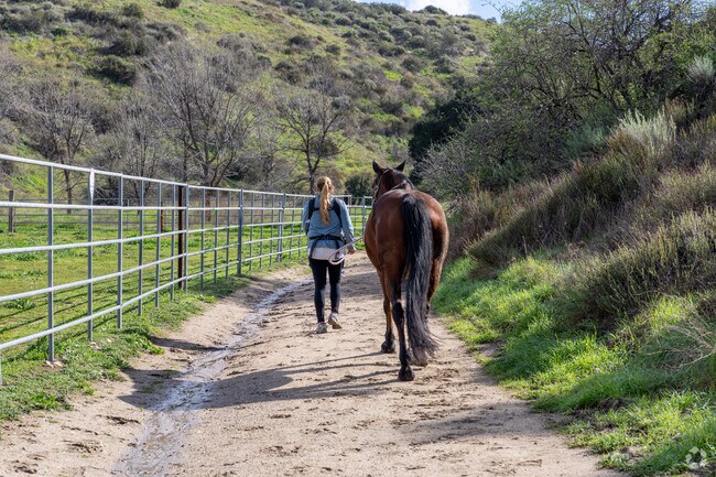 A woman goes for a walk with her baby and horse through Quigley Canyon Open Space in Newhall.