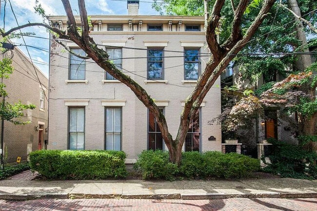 213 Covington Ave unit A, Covington, KY 41011 - photo 3