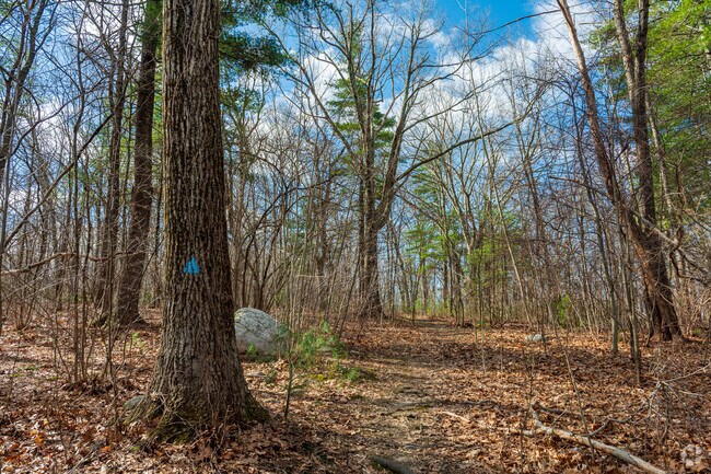 Bevonzi Conservation Park