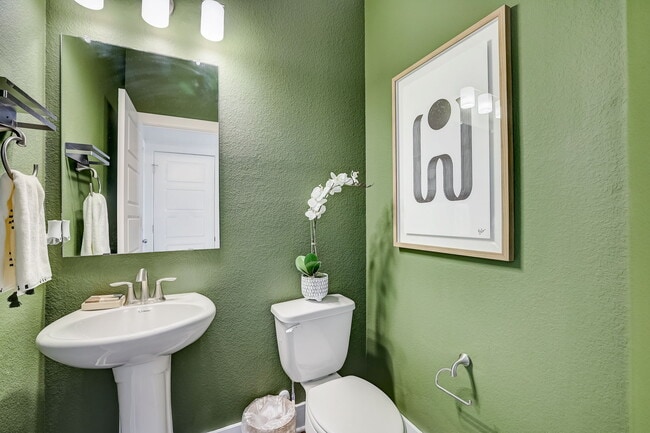 2012 Ezra Finn Loop unit 38760844, Round Rock, TX 78665 - photo 6