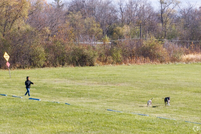 Locals can head 2 miles south to Veterans Memorial Park for open space to walk their dogs.