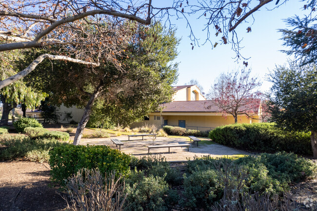 Los Olivos Elementary School's grounds are very peaceful.