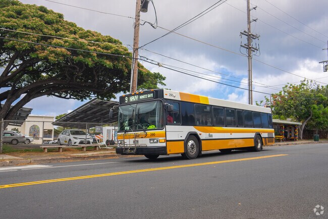 Public transportation in Palolo is convenient with regular bus services.