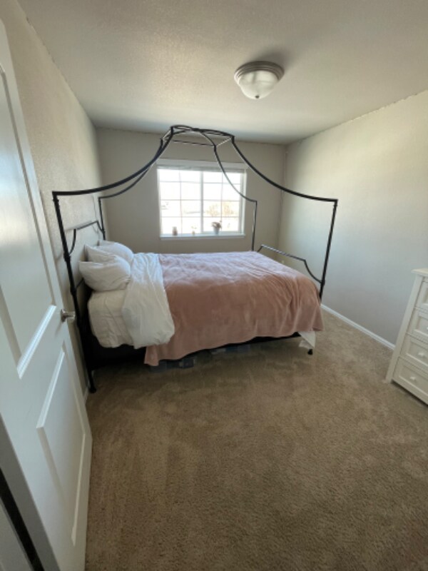 1628 Shoreview Pkwy, Severance, CO 80550 - photo 3