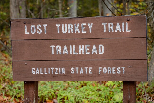 Residents enjoy hiking with friends and family at Gallitzin State Forest.