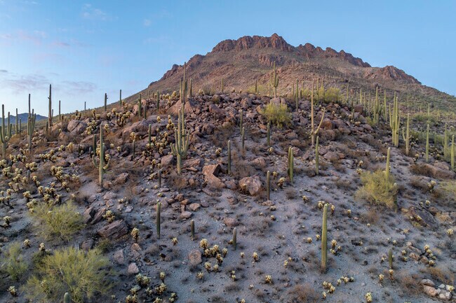 The drive from Wakefield to Old Tucson winds through the Tucson Mountains, offering panoramic views of rugged peaks and desert flora.