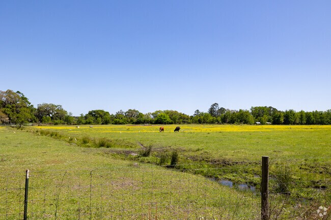 Sandfly is the perfect mix between rural life and suburban life.
