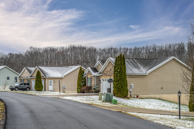 A row of ranch style homes in an up and coming section of Cassville.