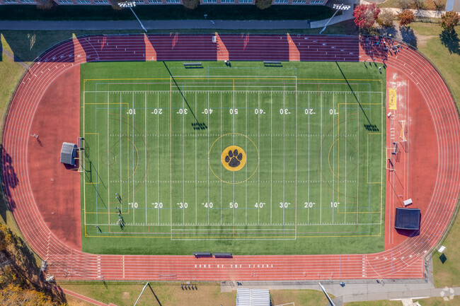 Daniel Hand High School is a spirited community of Tigers that champions athletic prowess.