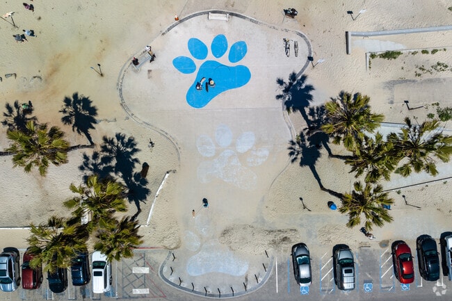 Dog Beach is located in Ocean Beach and is a place where pups can play in the surf.