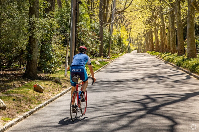 Cyclists often enjoy Mill Neck’s winding roads shaded by sycamores.