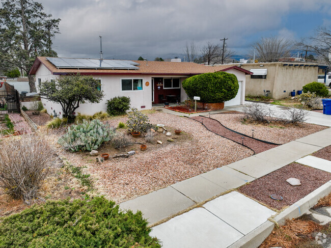 Xeriscape yard