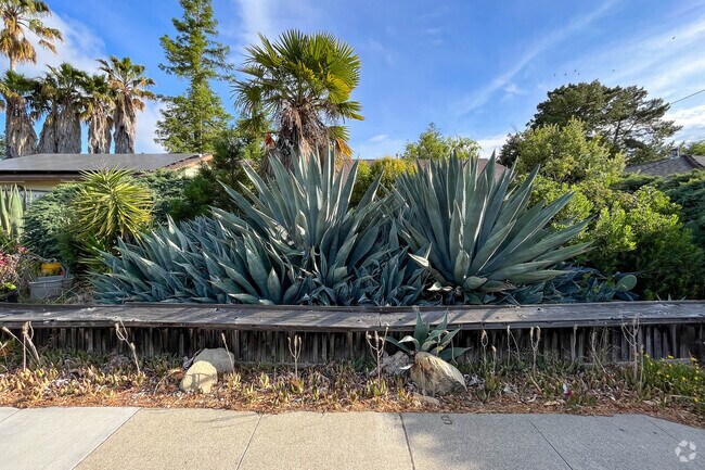 Front of bright green landscape and wide sidewalks in Blossom Crest Neighborhood.