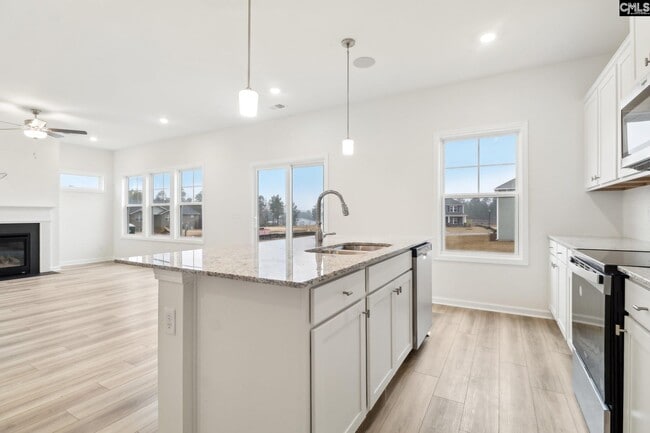 582 Griffon Dr, Chapin, SC 29036 - photo 5