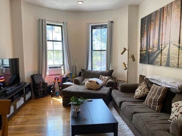 102 E Brookline St unit 2, Boston, MA 02118 - photo 3