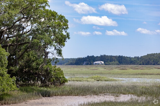 Homes in Spring Island sit along the winding waterways of Beaufort County.