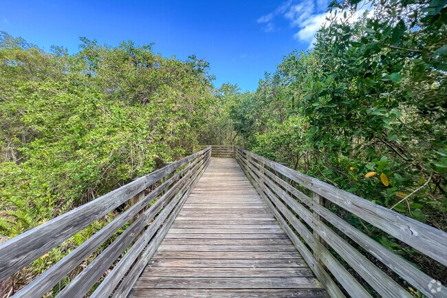 Port Salerno's Peck Lake Park offers a  walkway through trees and mangrove wetlands.