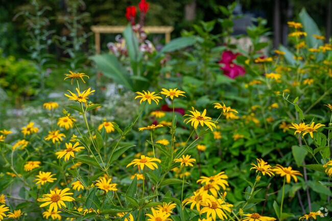 Near Northwest residents can smell the flowers at the Leeper Park Rose Garden.
