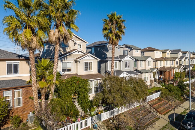 Homes in the Alviso neighborhood are surrounded by lush greenery and mature palm trees.