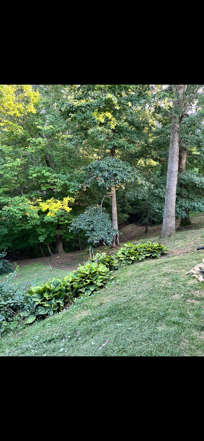 12 Stone House Rd, Arden, NC 28704 - photo 2