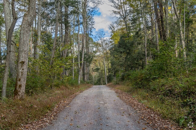 Hunters in Jordan love the five mile hunting area.