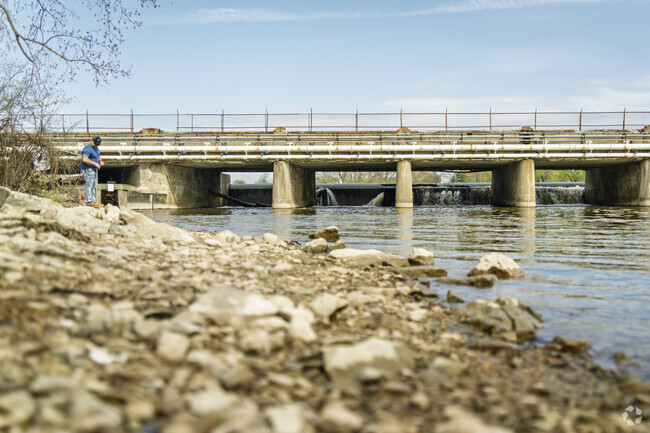 Downtown Flat Rock locals are trying to save the Flat Rock Dam from destruction.