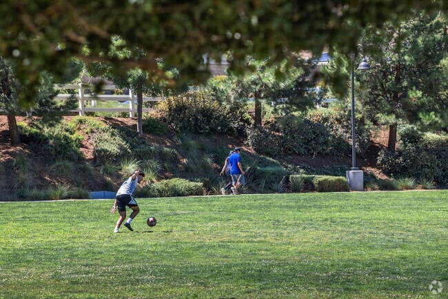Kick the ball around or enjoy a brisk walk at Conestoga Park in Winchester.