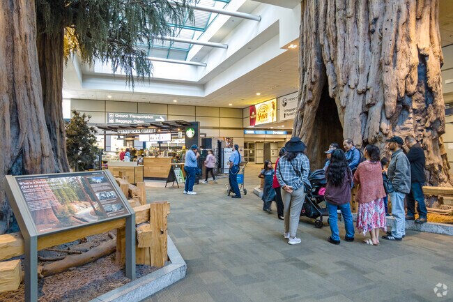 Travelers admire the replica Sequoia trees at Fresno International Airport in Fresno.
