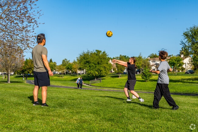 Regency Community Park is fun for the entire family.