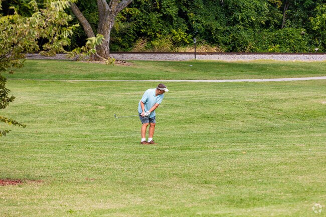 Midtown Springfield residents relax and play at Silver Springs Park.