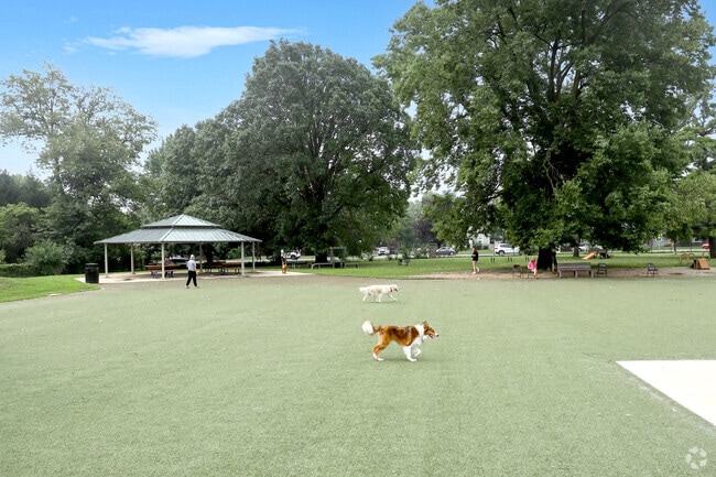Located near Meridian Kessler,  this off-leash dog park provides a safe space for dogs to play.