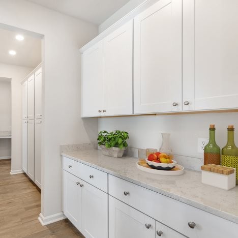 1089 Red Turnstone Run, Summerville, SC 29485 - photo 4