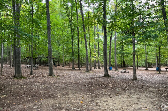 Immerse yourself in nature at Alum Spring Park in Central Fredericksburg.