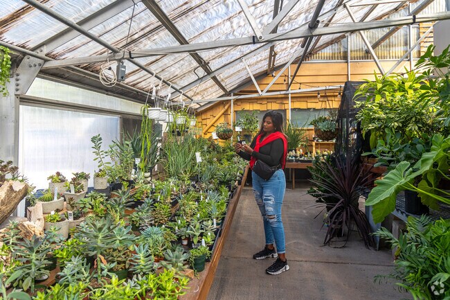 Campbell’s Nursery and Design Center offers a range of landscaping products near Irvingdale.