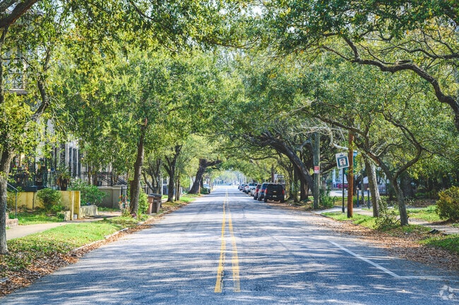 Texas St. is walkable with sidewalks and shaded with tall trees.