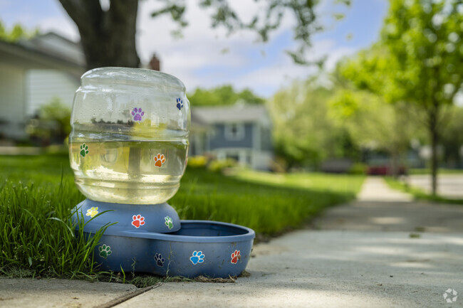 Local Vernon Downs dog owners can stop and let their dogs drink water at neighbors' houses.