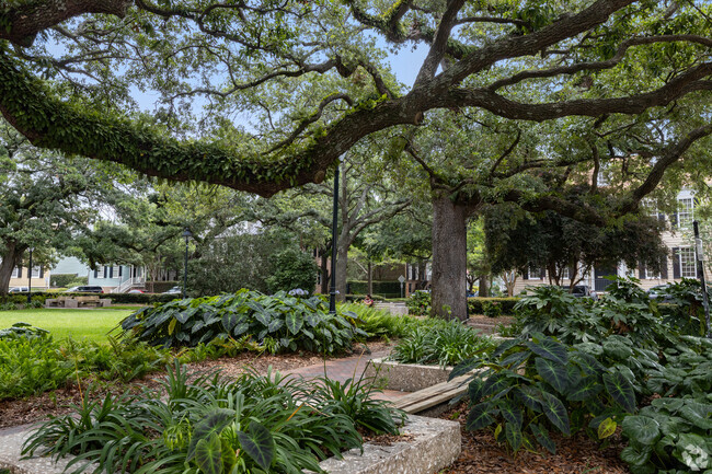 Large live oak trees create natural canopies in Savannah's Squares.