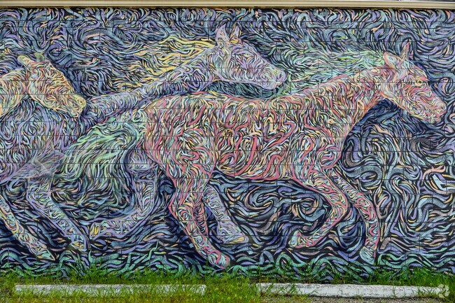 Colorful murals bring a touch of bright color to the more urban areas of Brownell.