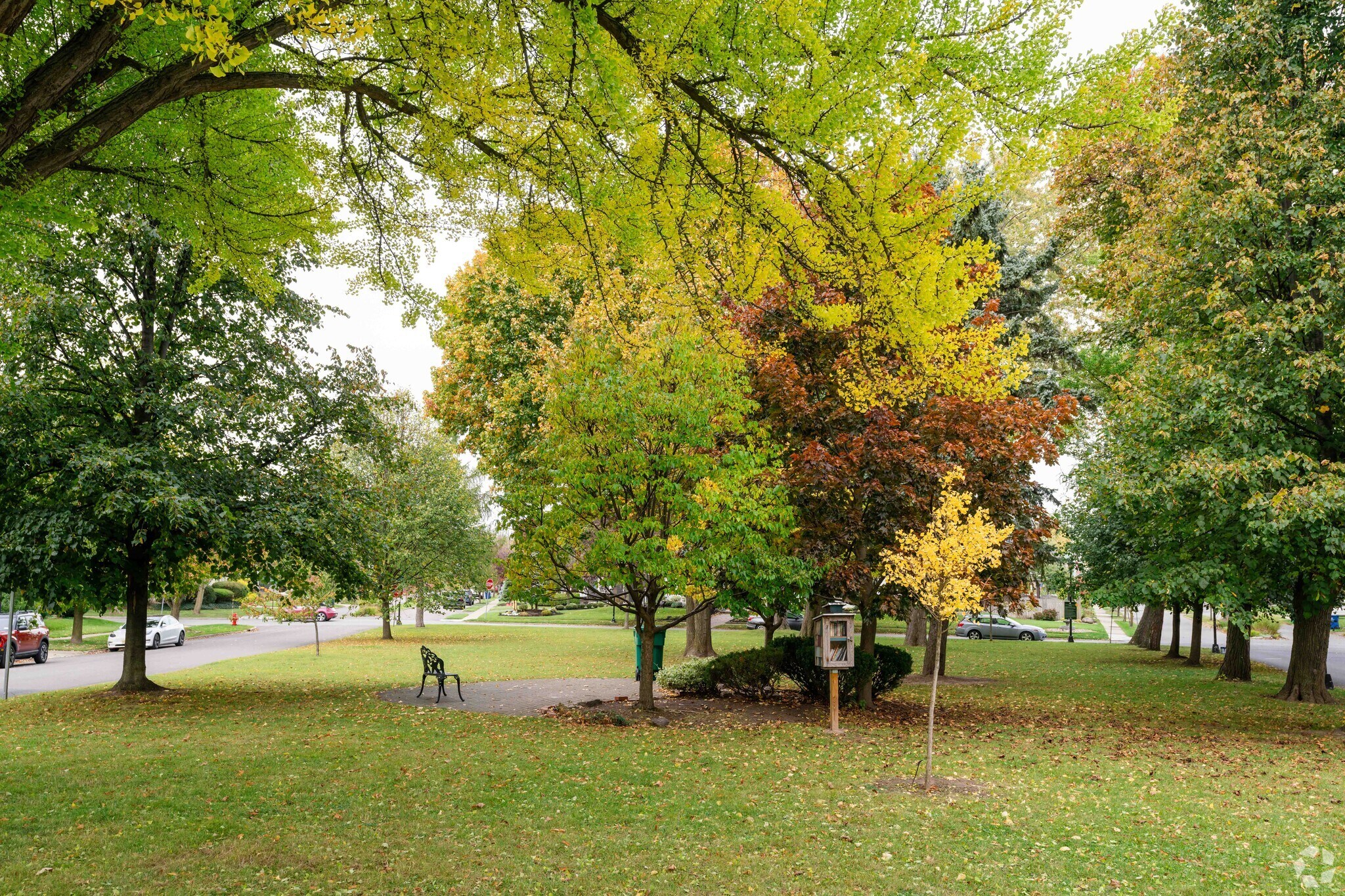 Tempelton Park in University Heights offers some breathing room between homes.