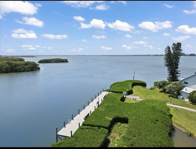 View from patio