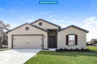 168 Big Black Dr, Kissimmee, FL 34759