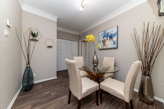 DSC_7146-Enhanced-NR