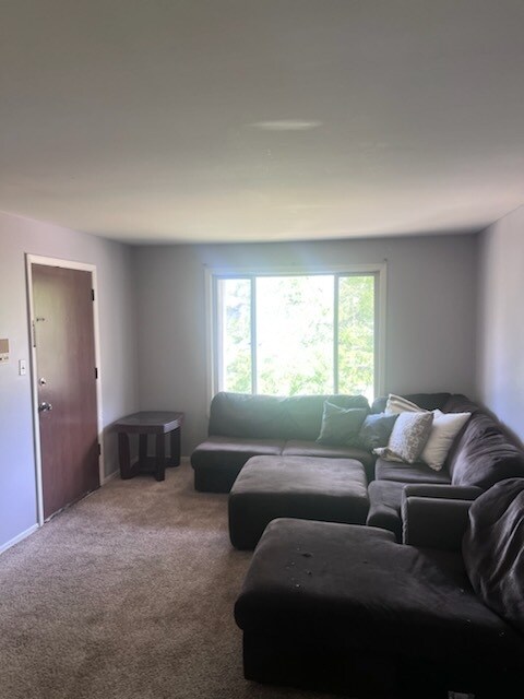 642 Melrose Ln unit 3, Beecher, IL 60401 - photo 5