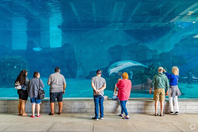 One highlight at Clearwater Marine Aquarium in Island Estates is the window to the dolphin tank.