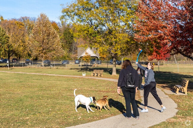 Thornberry Dog Park is a favorite spot for Peninsula Area’s furry residents and their humans.