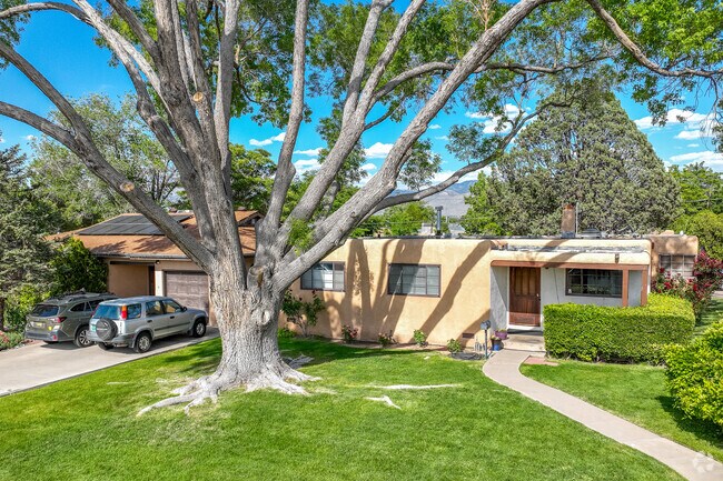 Many homes in Pueblo Alto are hemmed by patches of drought-resistant greenery and shaded by tall, leafy trees.