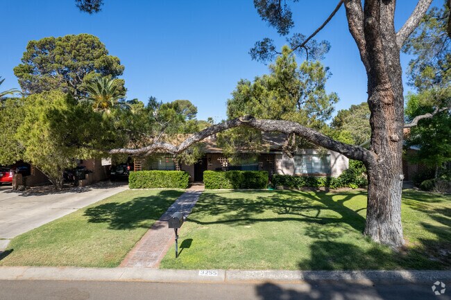 Large pine trees provide shade to homes in Winterhaven, within the La Madera neighborhood.