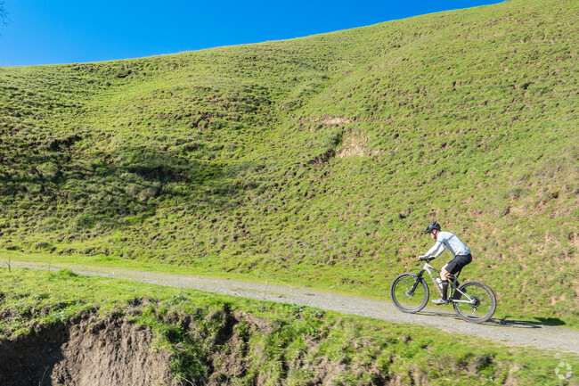 Rolling hills and open spaces make Briones a haven for outdoor enthusiasts.