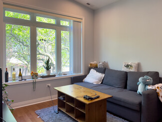 3136 S Shields Ave Unit 3, Chicago, IL 60616